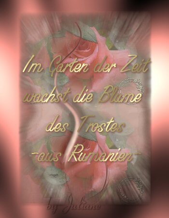 Timus' Dreamcard's Im Garten der Zeit wächst die Blume des Trostes